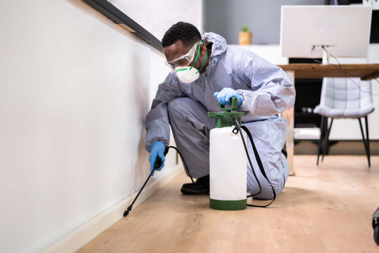 Fumigation and pest control services in Nairobi and Kiambu - safe and effective pest removal